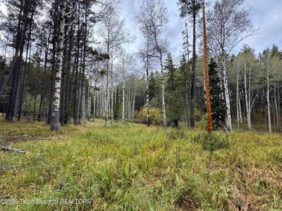 /international/us/lot-8-n-n-a-casper-wy-110120530548/