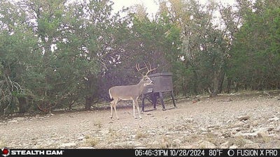/international/us/1512-persimmon-lot-35-eldorado-tx-110109805808/