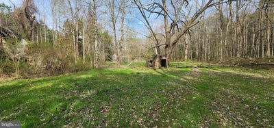 /international/us/lot-1-c-rd-snow-hill-md-110107841204/