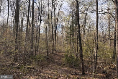 /international/us/padua-sperryville-va-110107173174/