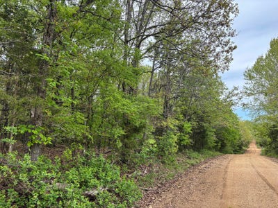 /international/us/county-road-122-wasola-mo-110107485222/