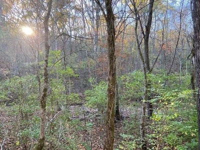 /international/us/320-old-carntown-rd-foster-ky-110100796791/?lang=zh-cn