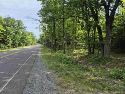 /international/us/72-acres-bonnie-lane-big-bay-mi-110101212873/?lang=zh-cn