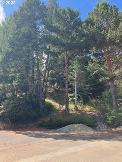 /international/us/0-fir-st-north-bend-or-110100686342/