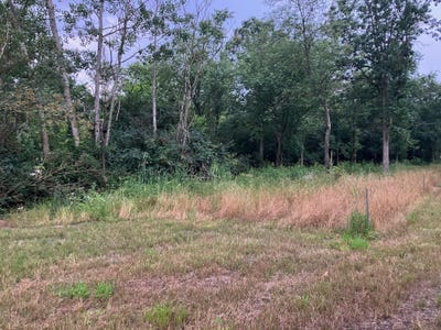/international/us/1667-prairiewood-court-otsego-mi-110109041421/