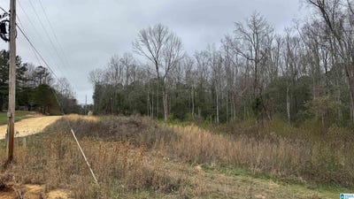 /international/us/2187-county-road-340-lot-0-maplesville-al-110107880239/