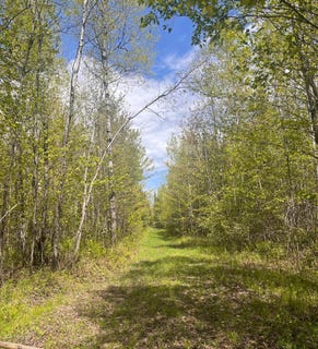 /international/us/80-acres-clausen-rd-prentice-wi-110108230684/