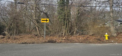 /international/us/vl-36-mastic-boulevard-mastic-ny-110106538237/