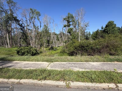 /international/us/third-n-street-soperton-ga-110108196364/