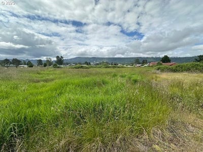 /international/us/4-springer-st-cathlamet-wa-110099815823/?lang=zh-cn