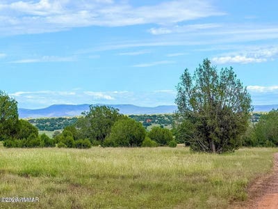 /international/us/rocky-hill-rd-lot-a-10-acres-ash-fork-az-110120450230/