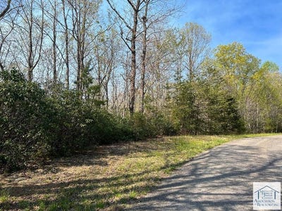 /international/us/pine-knoll-farms-loop-lot-38-stuart-va-110083703227/