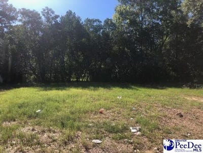 /international/us/317-brewer-ave-hartsville-sc-110110343139/