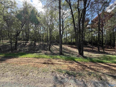 /international/us/-12a-county-road-1123-vinemont-al-110103230360/