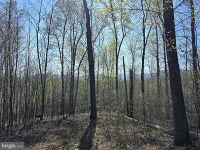 /international/us/s-ft-valley-rd-lot-2-madison-va-110107172716/