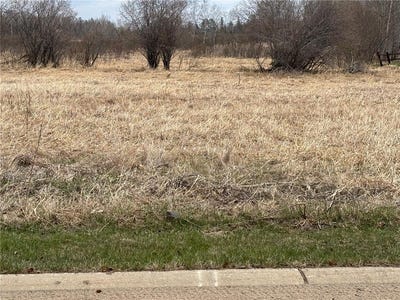 /international/us/lot-11-irvine-avenue-nw-bemidji-mn-110107000825/