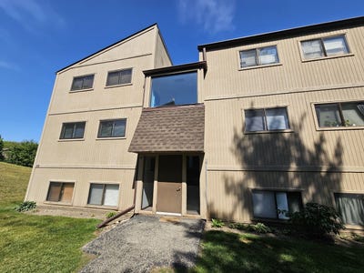 /international/us/49-oak-hill-colony-street-fox-lake-il-110108331148/
