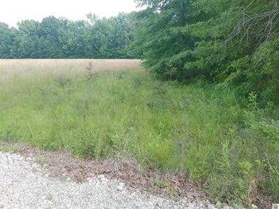 /international/us/3955-4400-shemwell-lane-paducah-ky-110108381929/