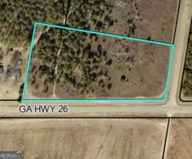 /international/us/6-44-acres-hwy-26-hawkinsville-ga-110100808557/