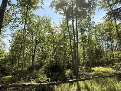 /international/us/lot-16-sunset-cove-way-orland-me-110119659057/
