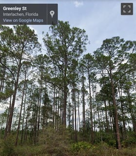 /international/us/00-greenley-st-palatka-fl-110101141194/?lang=zh-tw
