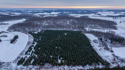 /international/us/6-1-2-avenue-hillsdale-wi-110104480132/