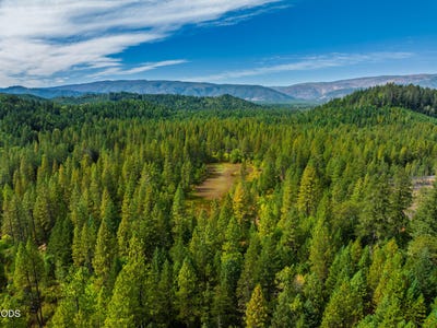 /international/us/waldo-road-cave-junction-or-110120535026/