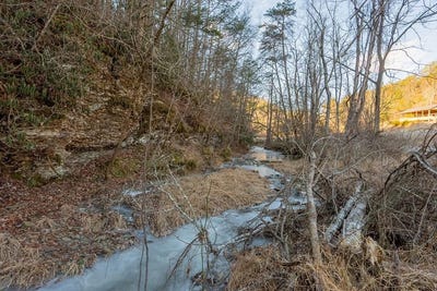 /international/us/kimberling-rd-lot-10a-10b2-bland-va-110105113988/