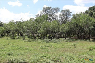 /international/us/1220-brushy-branch-road-lockhart-tx-110109155962/