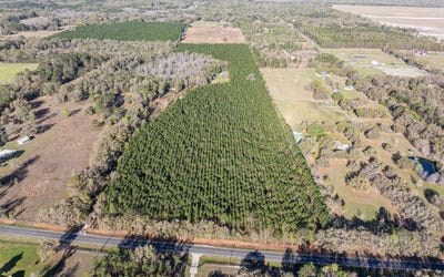 /international/us/tbd-sw-tustenuggee-ave-fort-white-fl-110098543530/