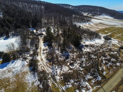 /international/us/2454-eleven-mile-rd-shinglehouse-pa-110105884876/