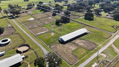 /international/us/2711-sw-125th-avenue-ocala-fl-110103475388/