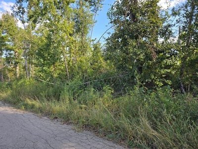 /international/us/150-county-road-358-jasper-tx-110120002665/