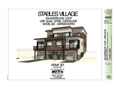 /international/us/103-stallion-loop-breckenridge-co-110096263626/
