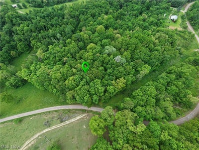 /international/us/tatman-road-uhrichsville-oh-110108239733/