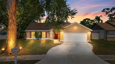 /international/us/802-smith-bay-drive-brandon-fl-110108173232/