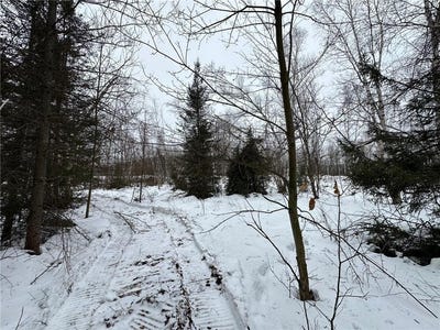 /international/us/tbd-4-koecher-road-kerrick-mn-110104408124/