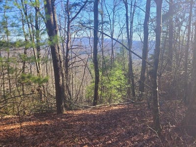/international/us/blalock-road-turtletown-tn-110097042561/?lang=zh-cn