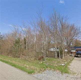 /international/us/madison-avenue-angola-ny-110104112046/