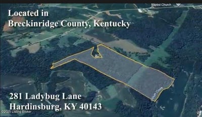 /international/us/281-lady-bug-ln-hardinsburg-ky-110101221489/?lang=zh-tw