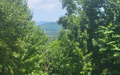 /international/us/24-mountain-knoll-lane-warne-nc-110100399389/?lang=zh-cn