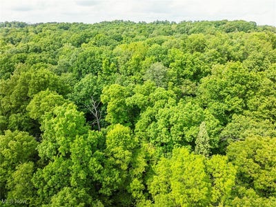 /international/us/6991-township-road-555-holmesville-oh-110100800785/?lang=en