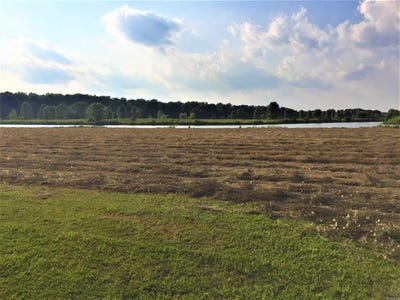 /international/us/mound-view-drive-lot-326-england-ar-110104547844/