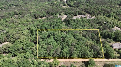 /international/us/blueberry-road-seale-al-110109102359/