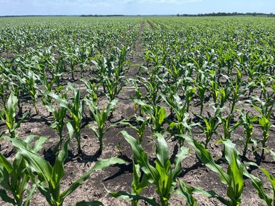 /international/us/46160-sd-hwy-15-wilmont-sd-110101142439/?lang=zh-tw