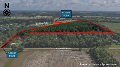 /international/us/840-county-road-33-ashford-al-110100312647/