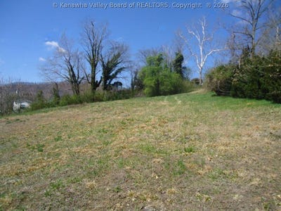 /international/us/30-palmer-place-madison-wv-110106603035/