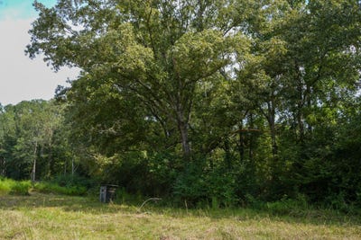 /international/us/0-bethesda-road-crystal-springs-ms-110104031130/