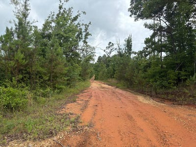 /international/us/000-pearce-chapel-road-smithville-ms-110108476412/