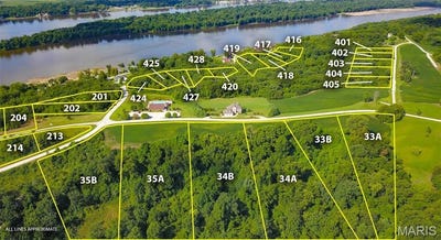 /international/us/420-riverview-road-golden-eagle-il-110097875257/